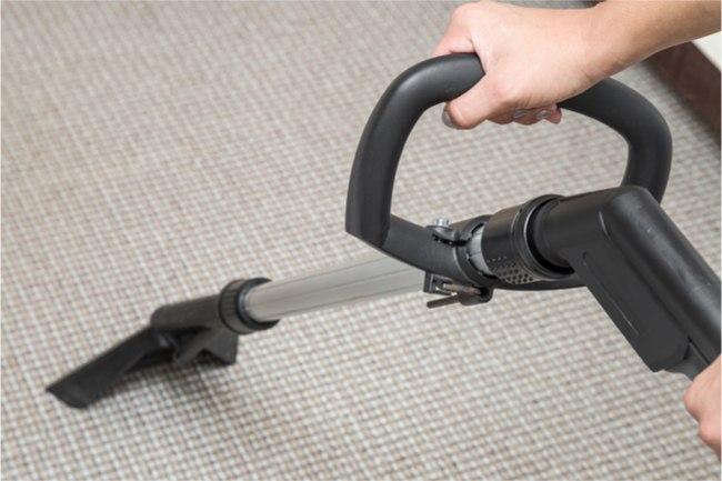 Carpet cleaning with professionally extraction method.