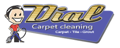 Dial Carpet Cleaning logo on the website homepage.