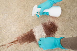 From a high-angle perspective, an individual is seen cleaning up spilled red wine on their home rug using a cleaning solution.