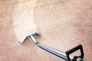 Indoors, use a professional vacuum cleaner wand to remove dirt from the carpet. Concept, deep clean your carpets.